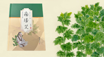 【行業(yè)資訊】國(guó)內(nèi)首部艾草專著《南陽艾》，在南陽新書首發(fā)！