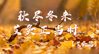 【健康/艾灸】秋盡冬來(lái)，艾灸正當(dāng)時(shí)——解鎖季節(jié)交替的養(yǎng)生密碼！